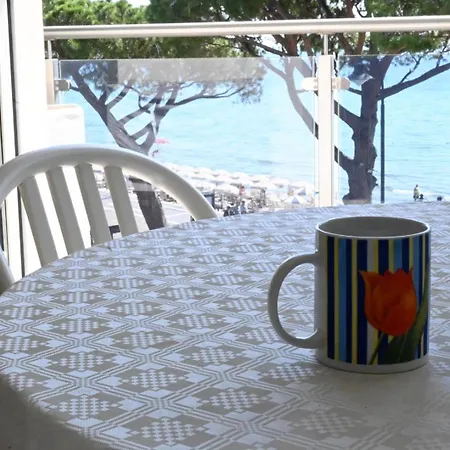 Vespucci 아파트 *